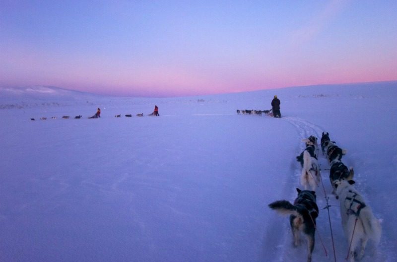 Image: Staffan Widstrand/imagebank.sweden.se